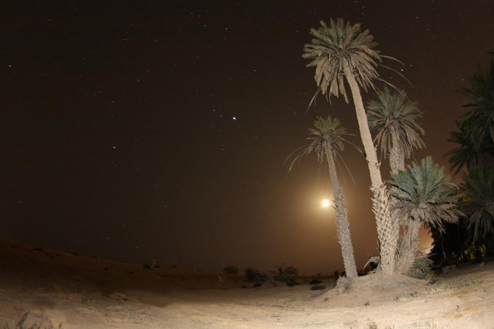 Fotografía nocturna